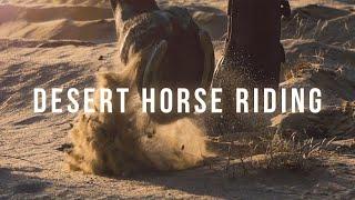 Desert Horse Riding  Cinematic Video