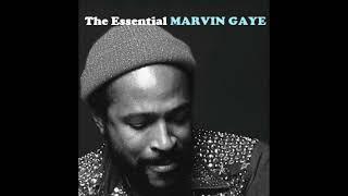 Marvin Gaye ⁞ As Long As She Needs Me