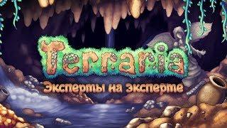 Terraria Expert mode - Прохождение игры #1  Эксперты на эксперте