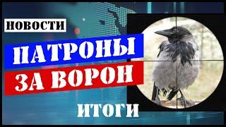 Почему нужно стрелять ворону?МООО Современная охота