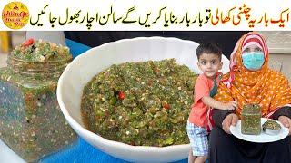 Tamatar Payaz Pudina Chutney Recipe  Chutney Banane Ki Recipe  Tomato Chatni by Village Handi Roti