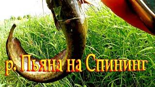 Рыбалка Нижегородская область река Пьяна. Рыбалка на спининг. Как поймать сома на джиг.