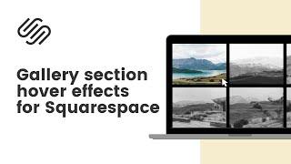 Squarespace Gallery Section Hover Effects  Gallery Image Hover Effects