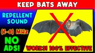 ANTI BATS REPELLENT SOUND  KEEP BATS AWAY - ULTRASONIC SOUND