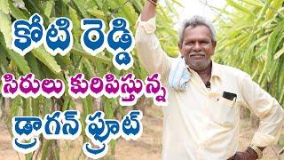 Dragon Fruit Farming  డ్రాగన్ ఫ్రూట్ సాగులో కోటి రెడ్డి   Success Story Dragon Fruit Farming