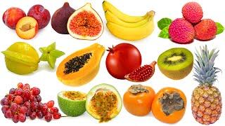 Tropical Fruits with Pictures in English & Chinese 热带水果  中英文