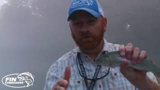 Trout Fishing - Difference Between Stocked and Wild Trout