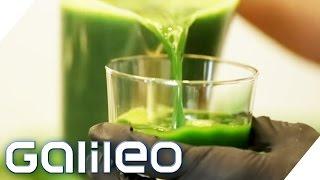 Selbstversuch 5 Tage Detoxkur  Galileo  ProSieben