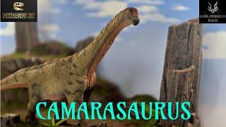 Haolonggood Camarasaurus 135 Scale Review