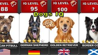 COMPARING THE INTELLIGENCE OF ALL DOGS    IQ LEVELS 