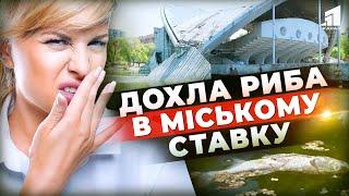 Через що масово гине риба в ставку у центральному парку Дніпра? Хто винен і що з цим робити?