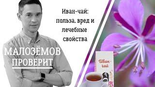 Иван-чай так ли полезен традиционный русский напиток?