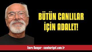 EMRE KONGAR BÜTÜN CANLILAR İÇİN ADALET - SESLİ KÖŞE YAZISI