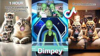 * 1 HOUR * New Dimpey6 Shorts Compilation 2024  Funny Dimpey TikToks Video