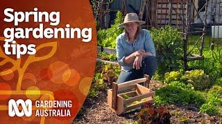 How to get the most success from your spring gardening  Gardening 101  Gardening Australia