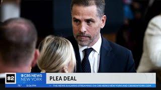 Hunter Biden strikes plea deal to avoid jail time