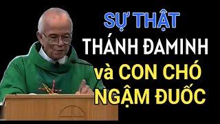 SỰ THẬT VỀ THÁNH ĐA MINH VÀ CON CHÓ NGẬM ĐUỐC  CHA PHẠM QUANG HỒNG THUYẾT GIẢNG