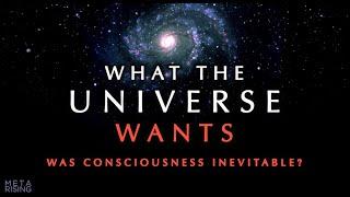 Does the Universe have a Purpose?  Consciousness Documentary