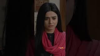 Tea Lover Best Scene #shorts #pakdrama #pakistanidrama #fairytale