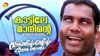 Kattile Maaninte  Vasanthiyum Lakshmiyum Pinne Njaanum  Video Song  Kalabhavan Mani