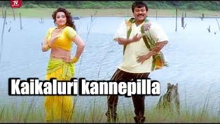 Kaikaluri kannepilla Chiranjeevi And Meena Full Movie Song  @TeluguVideoZ