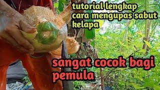 Tutorial Lengkap Cara Kupas Kelapa