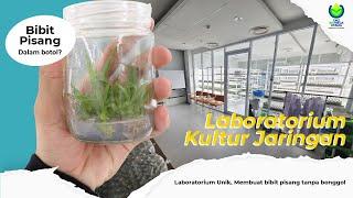 Laboratorium kultur jaringan GMZ Biomega Utama