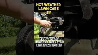 Cut the lawn in a heatwave are you MAD  #lawncare