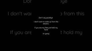 Song Haye - Say Goodbye Short Lyrics