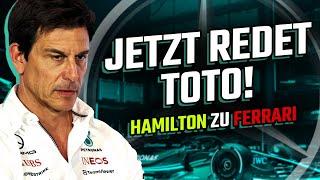 Holen Sie jetzt Verstappen statt Hamilton Toto Wolff?  Pressekonferenz