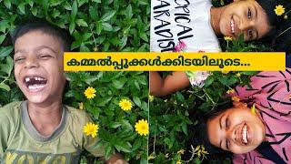 silent vlogkammal poove field kids eveningrefreshment vlogteam Capsicum