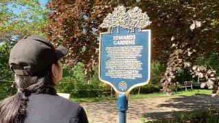 Edwards Gardens  Toronto Botanical Garden  Brief History of Edwards Gardens