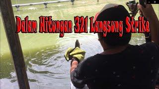 HITUNGAN DETIK LANGSUNG STRIKE  Umpan ikan mas #racikanumpanikanmas