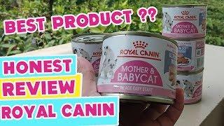 ROYAL CANIN MOTHER and BABY CAT WETFOOD REVIEW  MY CATS DIARY