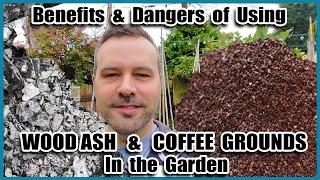 Benefits and Dangers of COFFEE GROUNDS and WOOD ASH in the Garden  Beginning Gardening