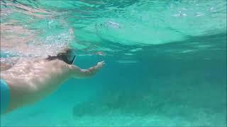 Snorkeling at Princess Cays Bahamas - Cruise Excursions