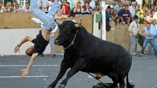 Funny videos  Bullfighting Festival #1  Stupid people  Troll Bull Fails Try Not to Laugh  Fun