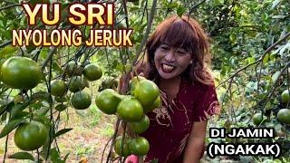 YU SRI NYOLONG JERUK  Di jamin Ngakak 