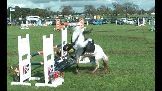 show jumping falls fails and flings