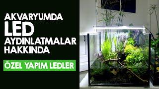 Akvaryumda Led Aydınlatmalar Hakkında