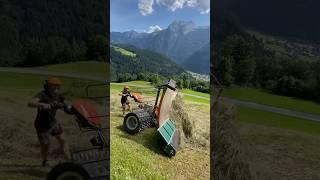 Heuernte in den Bergen mit IBEX G2 Motormäher & Heuschieber Lindner Unitrac mit Ladewagen #shorts