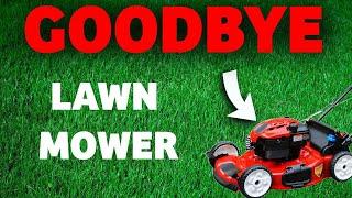 Is it possible to have a lawn that never needs cut?  I tested it out