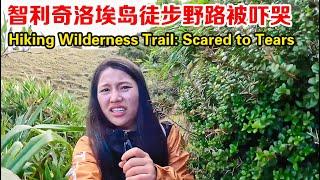 中国妹子独自背包环游南美，在智利奇洛埃岛爬山，走野路差点吓哭了！【张猫猫历险记】