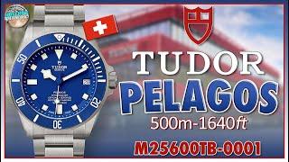 My First Tudor Review And Theres Something VERY Wrong With This Pelagos M25600TB-0001  Heartbroken