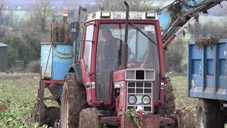 Classic Tractor Beet Harvesting 2020