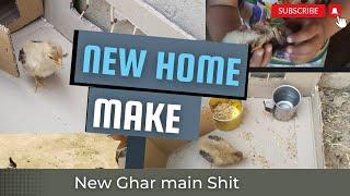 Murgi Ke Bacche Ka Ghar Making a Chicken Baby New House  Step-by-Step Guide  world info