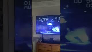 America’s Funniest Home Videos - Police chase