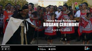 Hlane Royal Residence Buganu Marula festival  02-04-2022