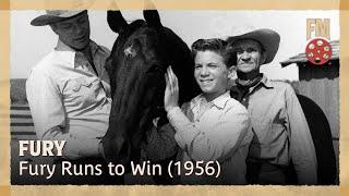 Fury 1956  Season 1  Episode 22  Fury Runs to Win  Peter Graves