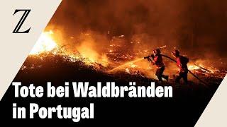 Mehrere Tote bei Waldbränden in Portugal